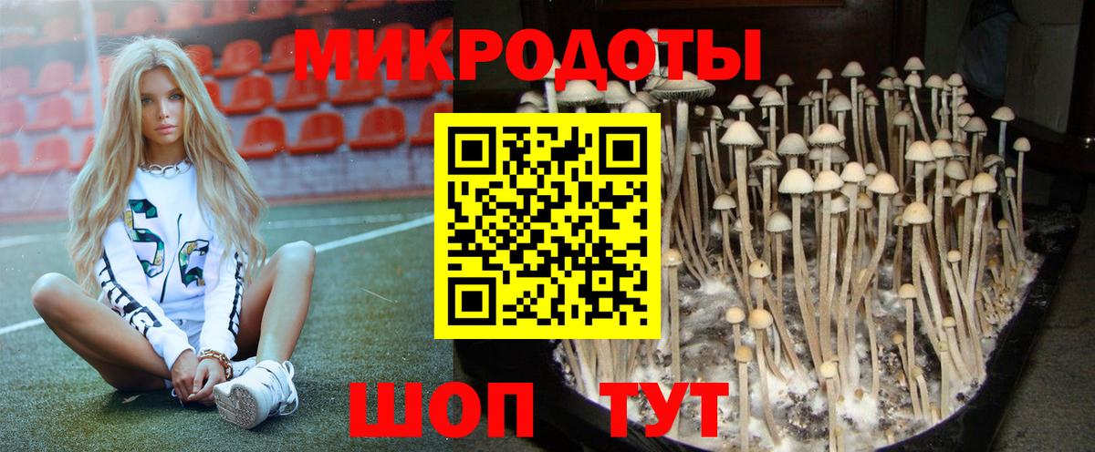 Галлюциногенные грибы Psilocybe Нефтекамск