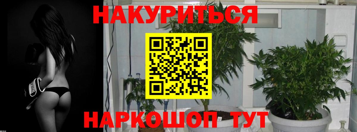 Марихуана конопля Нефтекамск